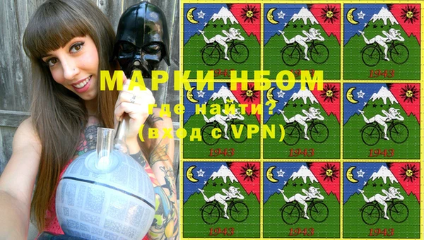 стафф Медногорск