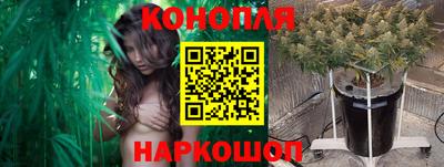 ешки Будённовск