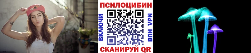 Галлюциногенные грибы Psilocybine cubensis  Котельники 