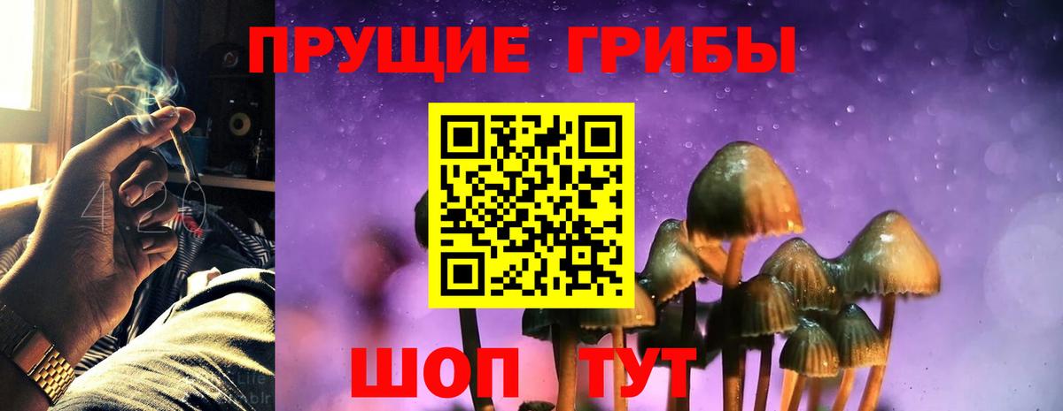 Галлюциногенные грибы прущие грибы  Вход с VPN  Котельники 