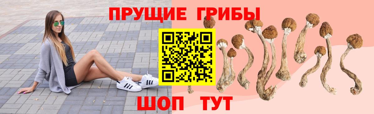 Псилоцибиновые грибы мухоморы Котельники